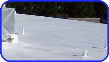 Roof Coating system